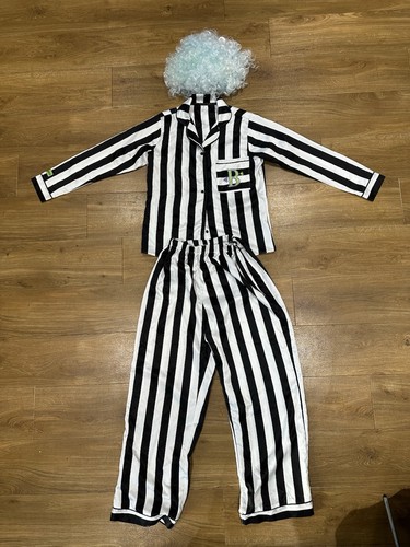 Beetlejuice costume halloween - beetlejuice,