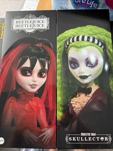 Monster high skullector - high,